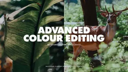 Adobe Lightroom Classic: Advanced Workflow & Tips for Enhancing Your Color Edits