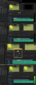 Adobe Premiere Pro - The Complete Video Editing Master Class