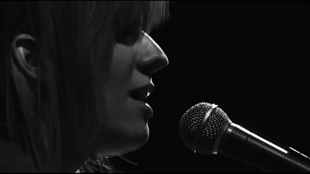 The Swell Season (2011)