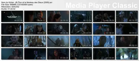 Thor et le marteau des dieux (2009)
