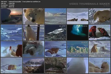 National Geographic : Le Royaume de l'ours polaire