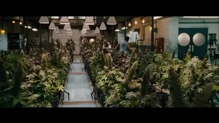 Pineapple Express (2008)