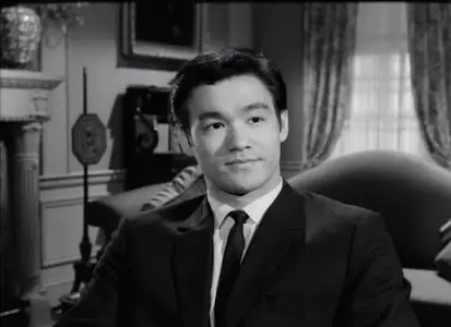 Bruce Lee - A Warrior's Journey