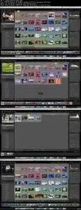 Lightroom CC - Smart Collections & Quick Develop Module