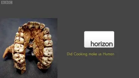 BBC Horizon - Did Cooking Make Us Human?