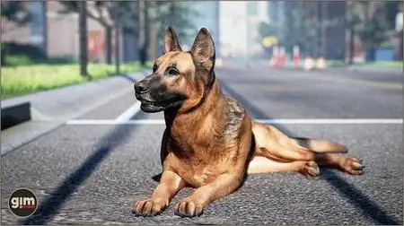 Unreal Engine – Animalia - German Shepherd 4.27