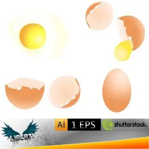 Egg set white background