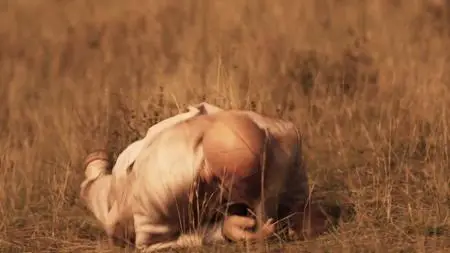 Preacher S04E07