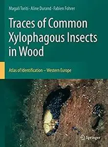 Traces of Common Xylophagous Insects in Wood