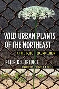 Wild Urban Plants of the Northeast: A Field Guide (Repost)