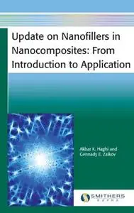 Update on Nanofillers in Nanocomposites: From Introduction to Application