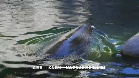 Extinct or Alive S02E04
