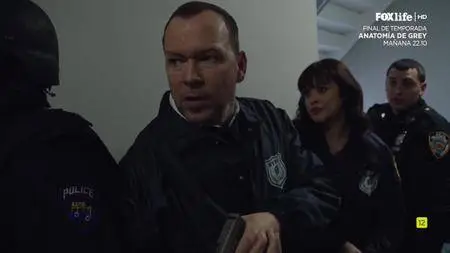 Blue Bloods (Familia de policías) S08E20