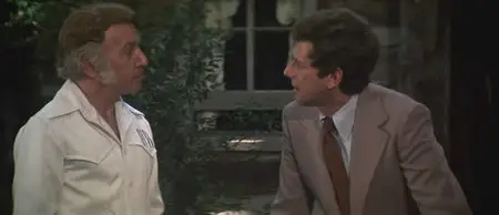 Nashville (1975)