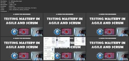 Scrum Testing: Learn Testing In Agile And Scrum From A To Z
