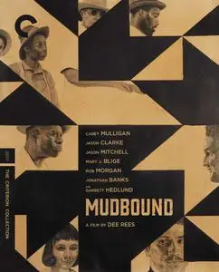Mudbound (2017) [The Criterion Collection]