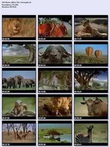 Africa: The Serengeti
