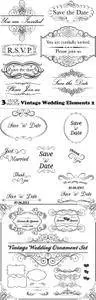 Vectors - Vintage Wedding Elements 2