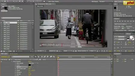 fxphd - dop210: DSLR Cinematography [repost]