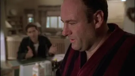 The Sopranos S01E12