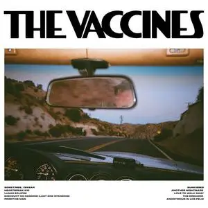 The Vaccines - Pick-Up Full Of Pink Carnations (2024) [Official Digital Download]