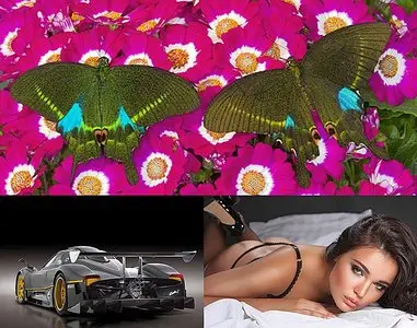 The Best Wallpapers pack 282 by nko