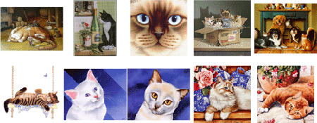Amazining Draw Cats