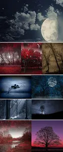 Stock Images Mystical spring night 