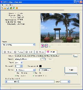 SWiSHvideo ver.2.0 2006 02 12