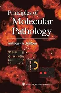 Principles of molecular pathology