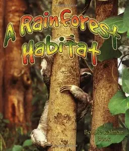 A Rainforest Habitat