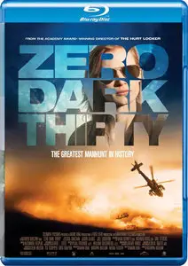 Zero Dark Thirty (2012)