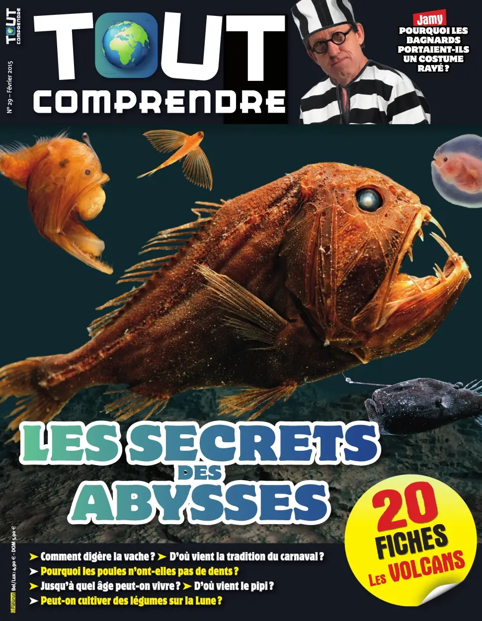 Tout Comprendre No.29 - Février 2015