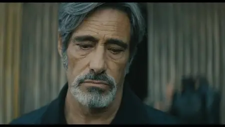 Les Lyonnais (2011)