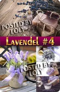 Lavender flowers #4 - Stock Photo