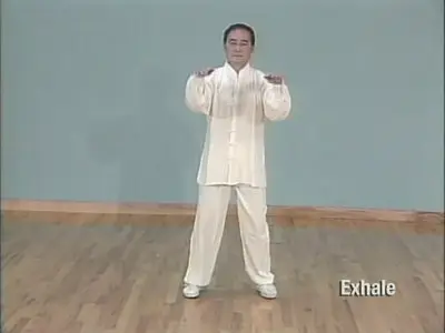 Simplified Tai Chi Chuan [repost]