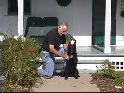 Dealing with Aggressive and Dominant Dogs [repost]