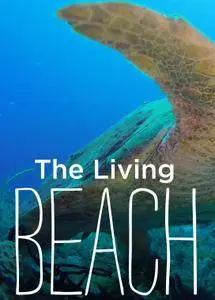 Smithsonian Earth - The Living Beach: Series 1 (2017)