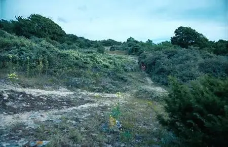 Jeannette, l'enfance de Jeanne d'Arc (2018)
