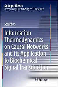 Information Thermodynamics on Causal Networks and its Application to Biochemical Signal Transduction (Repost)