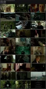 Wake the Witch (2010) 