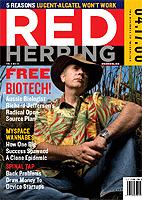 Red Herring Magazine 2006 4.17
