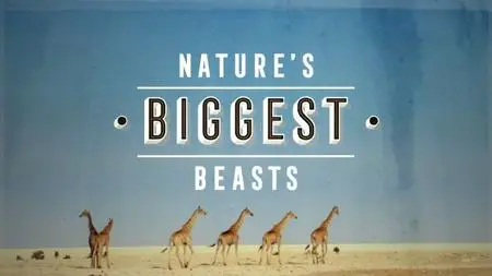 BBC Natural World - Nature's Biggest Beasts (2018)