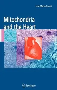Mitochondria and the Heart (repost)