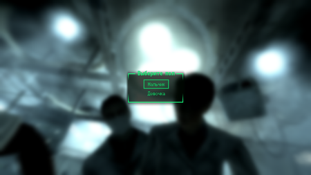 Fallout (2009-2010)