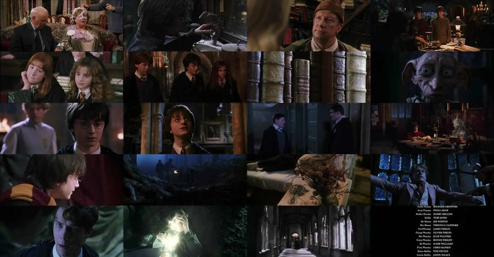 Harry Potter and the Chamber of Secrets (2002) [EXTENDED] + Extras ...