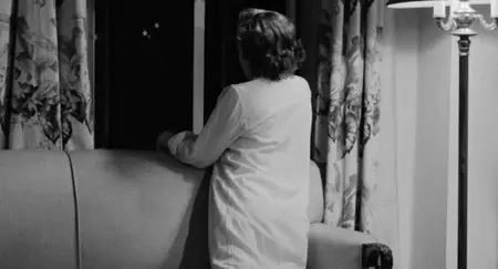 The Savage Eye (1959)