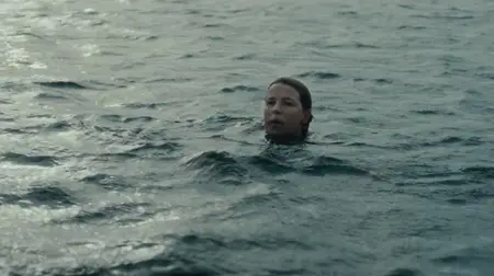 Den svenska torpeden / The Swedish Torpedo (2024)