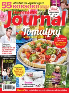 Hemmets Journal - 20 Augusti 2025