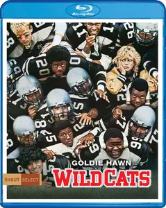 Wildcats (1986)